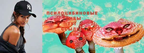 твердый Баксан