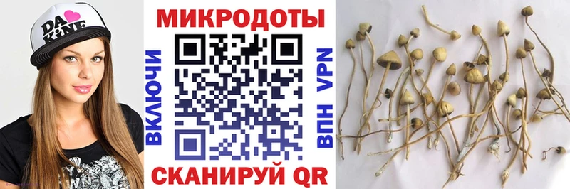 MEGA онион  Зверево  Псилоцибиновые грибы ЛСД  наркотики 